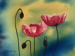 03-charlotte-hird-poppies