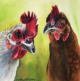 05-charlotte-hird-two-old-chooks